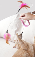 Lade das Bild in den Galerie-Viewer, Feddycat - Fangspiel für Katzen