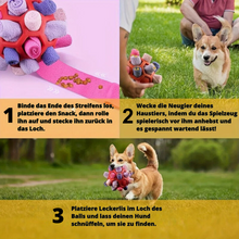 Lade das Bild in den Galerie-Viewer, SnackSchatz - Interaktive Leckerli-Suche für Hunde