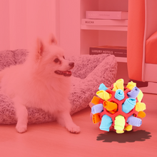 Lade das Bild in den Galerie-Viewer, SnackSchatz - Interaktive Leckerli-Suche für Hunde