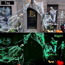 Lade das Bild in den Galerie-Viewer, SpookShine - Die Effektive Halloween-Deko