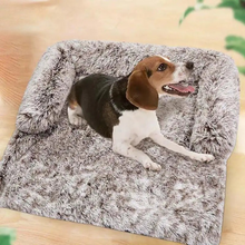 Lade das Bild in den Galerie-Viewer, PetLounge - Die Wohlfühloase für Vierbeiner
