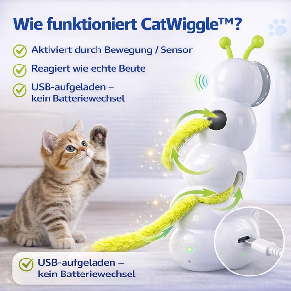 Smart Katzenraupe Spielzeug