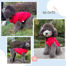 Lade das Bild in den Galerie-Viewer, ColdProtection Jacke - Winddichte Winterjacke für Hunde
